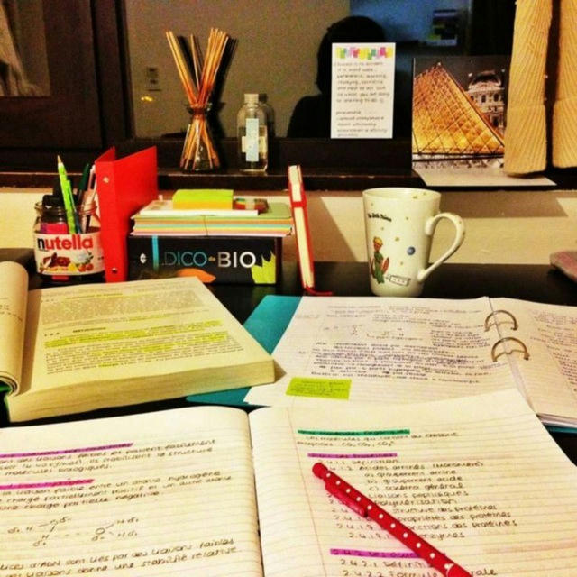 Study Everything