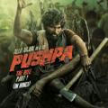 All New South Movie In Hindi Dubbed Pushpa Jai Bheem
