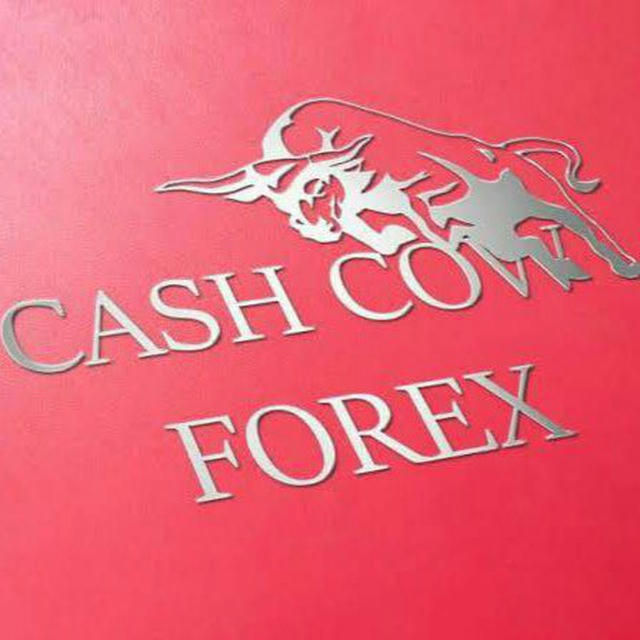 Forex Cash Cow