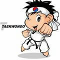 BTR_Taekwondo_WT_Nav