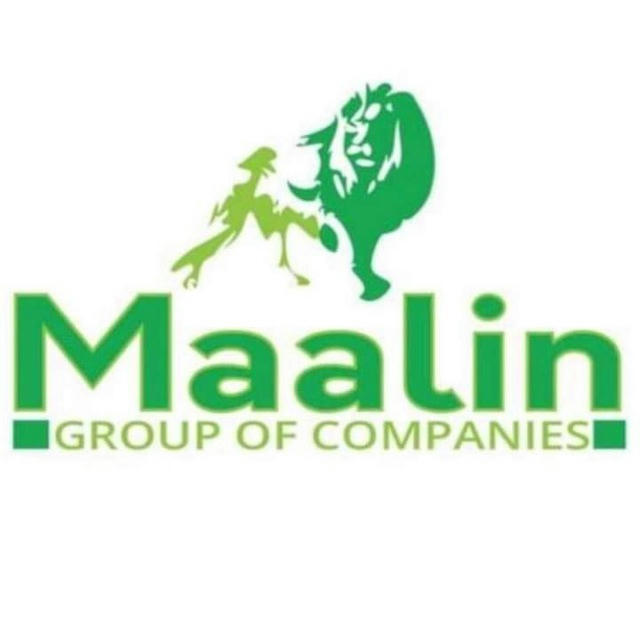 Maalin Group Investment