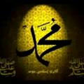کانال اطلاع رسانی ربات تلگرام تلاوت قرآن و جهان اسلام