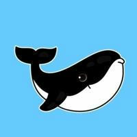 WHALE 🐳 EVERYTHING CHANNEL