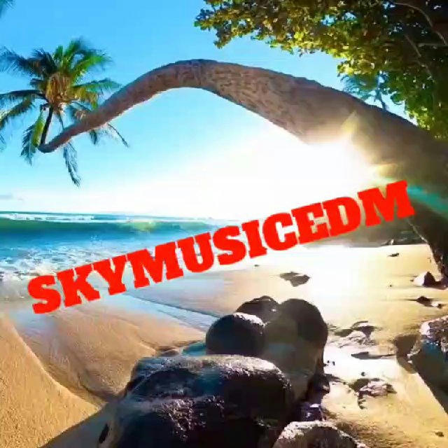 Skymusicedm 🛫🇺🇦🌅🤩
