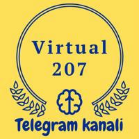 Virtual 207
