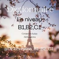 Dictionnaire "le niveau Delf,Dalf B1,B2,C1"