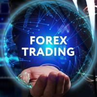 Forex best traders