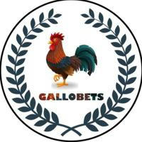 Apuestas GalloBets