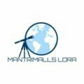 LMM Mantri Malls Official Forecast