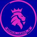 لیگ جزیره | premier League