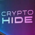 CRYPTO HIDE 🥷