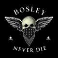 867 BOSLEY