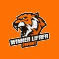Winner lifafa esports