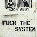 Fuck the System👊
