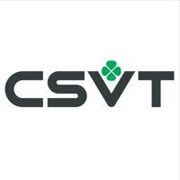 CSVT: свет и потолки