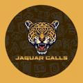 Jaguar Calls 🐅