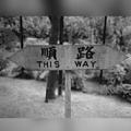 This Way