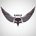 Crypto Eagle