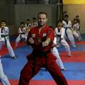 Taekwondo_Ali.shahi