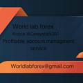 World lab forex