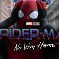 Spider man No Way Home