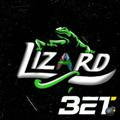 lizardbet | لیزارد بت