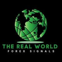 THE REAL WORLD FOREX