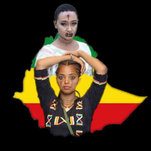 Amhara Media