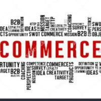 Commerce & Accountancy UPSC