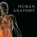 Anatomy - AUFM 60