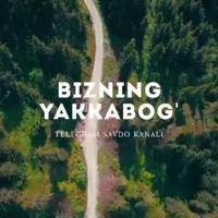Bizning Yakkabog' Uy bozor