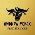 Forex By Andrew🔥🔥
