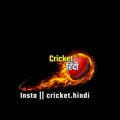 Cricket.hindi
