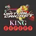 VIRTUAL CRICKET SESSION EXPERT ️