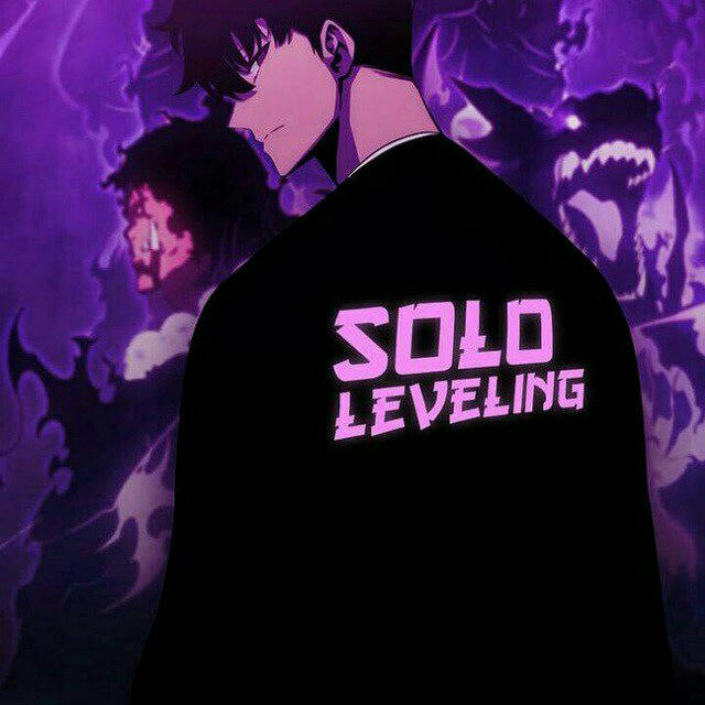 🔰🈯 SOLO LEVELING VF & VOSTFR 🈯🔰