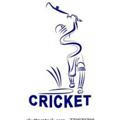 cricket and kabbadi