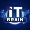 IT Brain (vizitka)