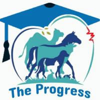 The Progress Academy