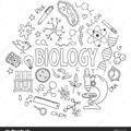 👑 Biology with bloooood hacker👑