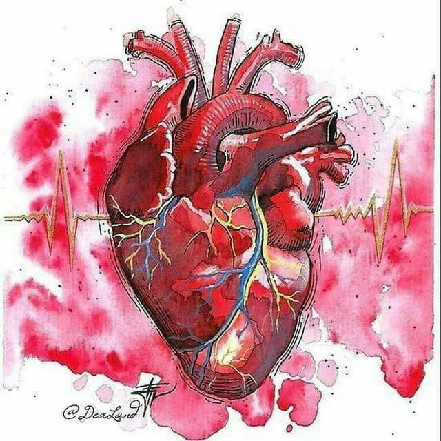 Cardiology