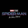 Spider-Man No Way Home | FANDOM
