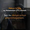 Umma_Muhammadaa