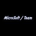 MicroSoft / Team