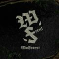 Wolforest Rent :: ORDAL.