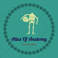 Atlas Of Anatomy | آموزش آناتومی