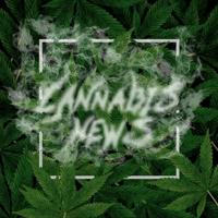 Cannabis News 2.0