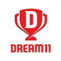 Dream11 Fantastic cricket team