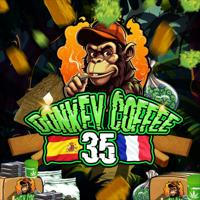 DONKEY COFFEE 35 / Canal Bretagne