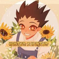 hunter x hunter (closed)