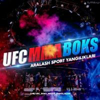 UFC MMA BOKS